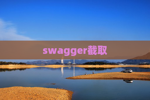 swagger截取